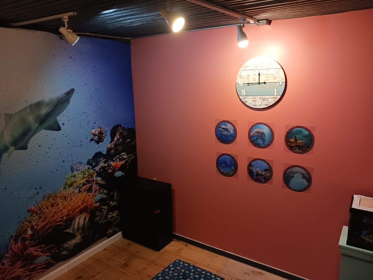 Mind Lock Escape Room